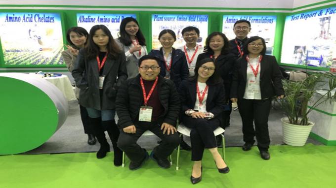 Ham Protein Çinko 20% Vitamin Domuz Yemleri Katkı maddeleri Mineraller 6