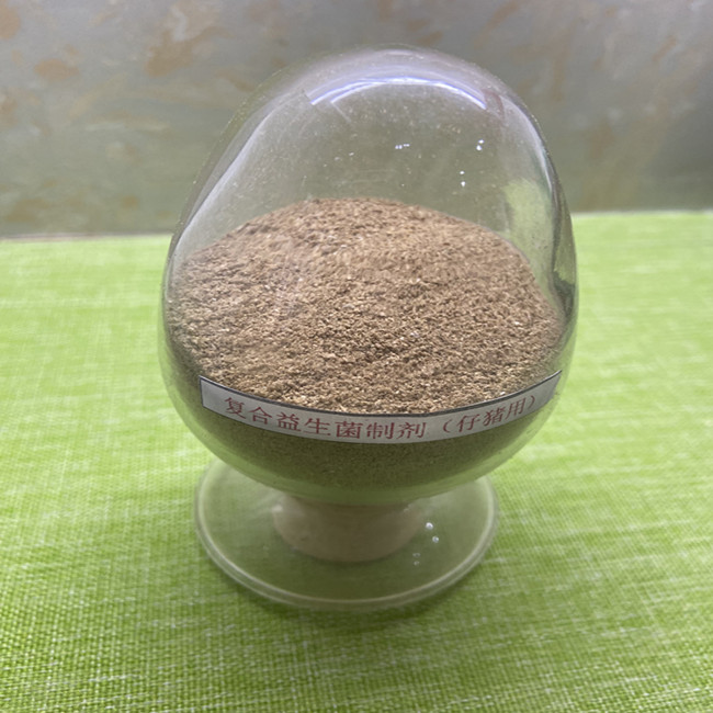 Clostridium Butyricum Domuz Probiyotikler Sindirim Sağlığı İçin Besin Katkı Malzemeleri 0