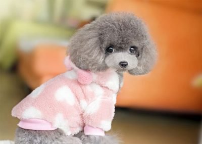 Multivitamin Takviyesi &Ccedil;ok Fonksiyonlu Tabletler Kediler ve K&ouml;pekler K&ouml;pekler i&ccedil;in Doğal Bağışıklık Destek ve Alerji Temizleme 2