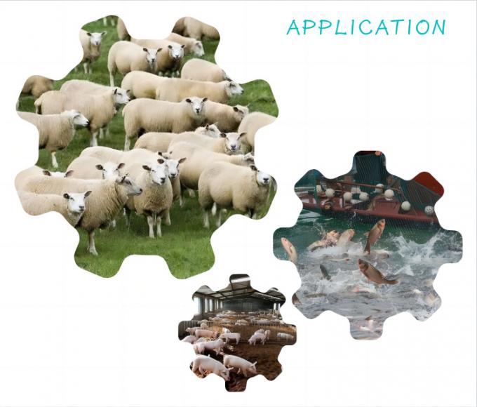 Hayvan ve Kümes Hayvanları için Maya Nano Selenyum Yem Katkısı 2000mg/kg 1