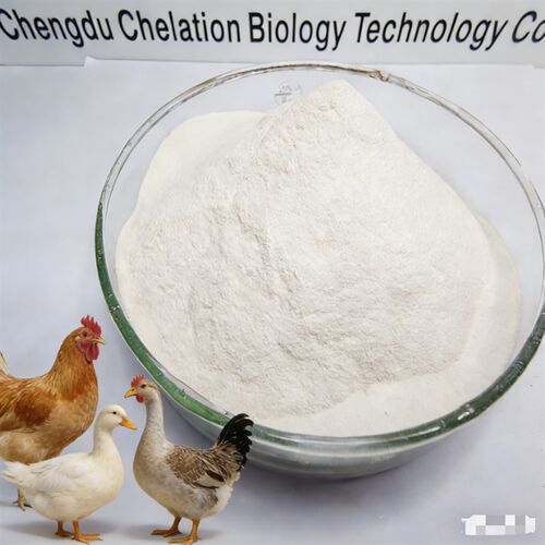 Latest company news about Organik Protein Şelatlı Demir %20 | Yüksek Verimli Kanatlı Yemi Katkısı